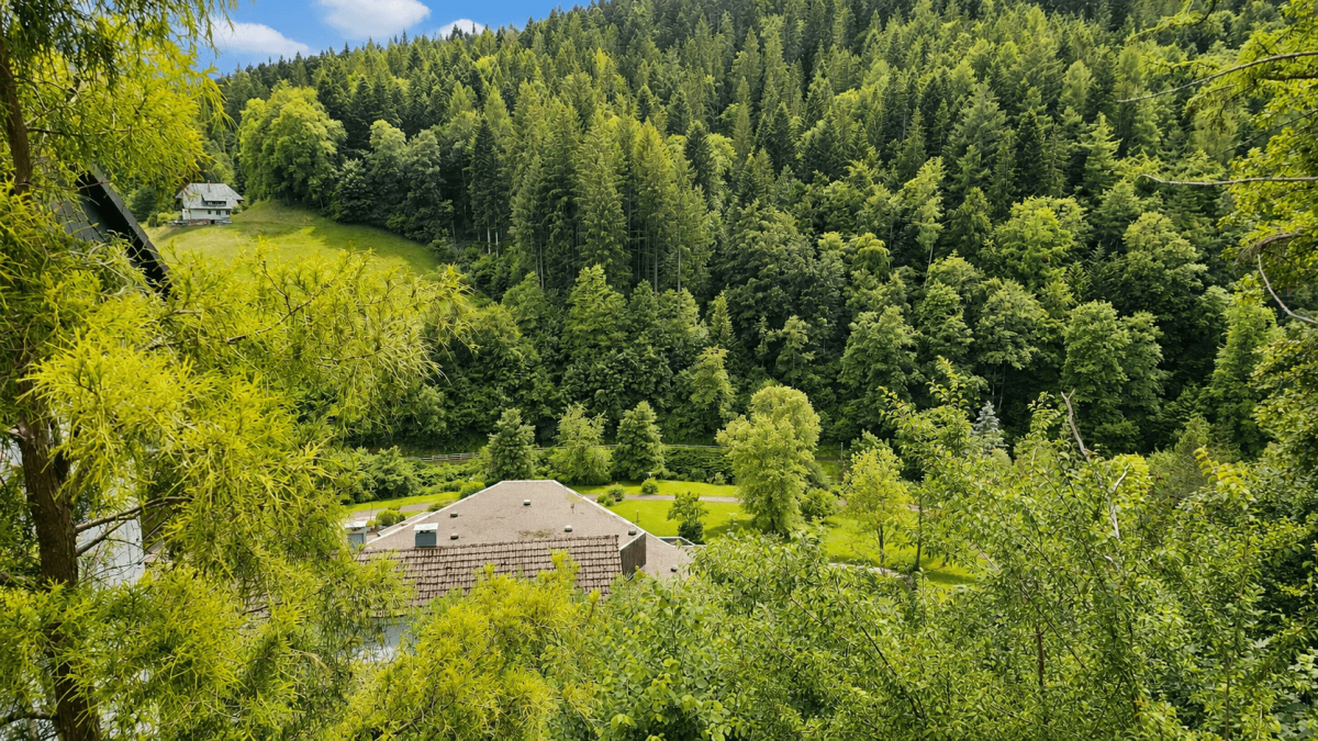 Ausblick vom Balkon